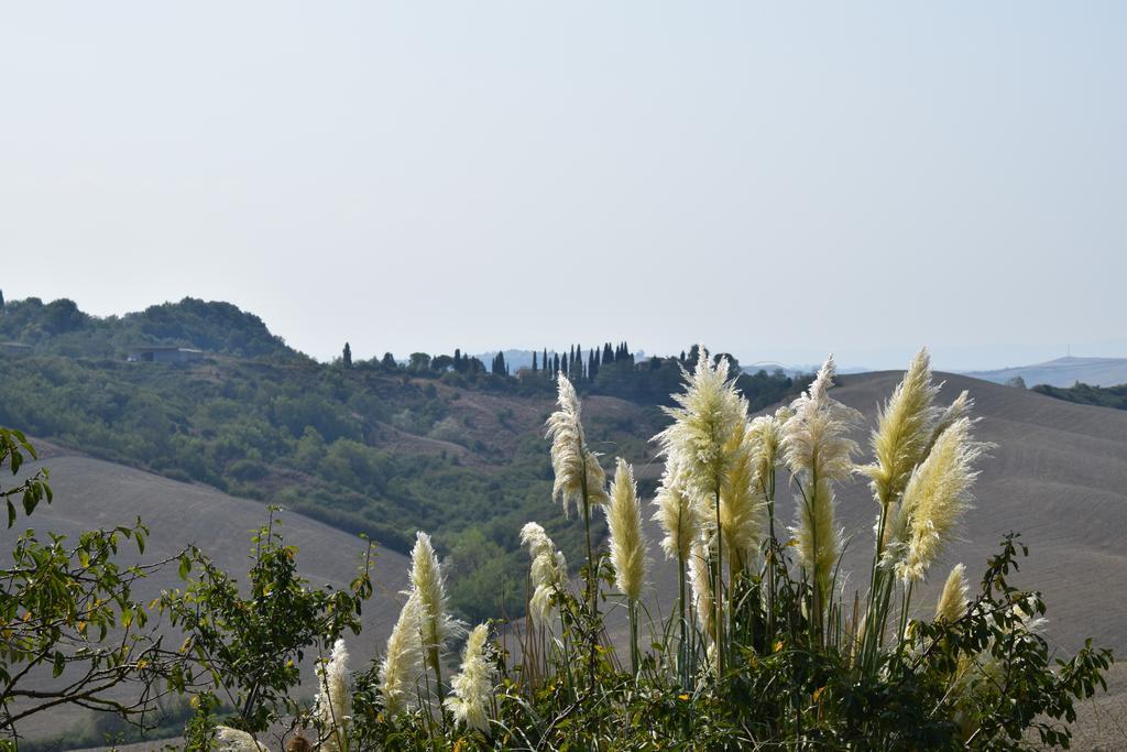 קסטלנואובו ברארדנגה Appartamento Crete Senesi מראה חיצוני תמונה